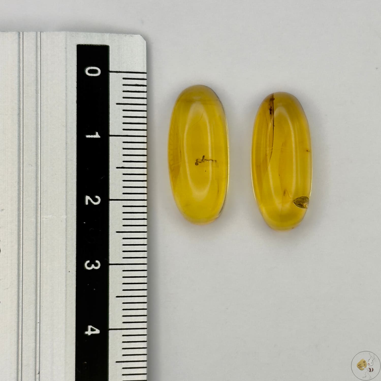 Paire de cabochons en ambre naturel du Mexique – forme ovale| Formiga Loca