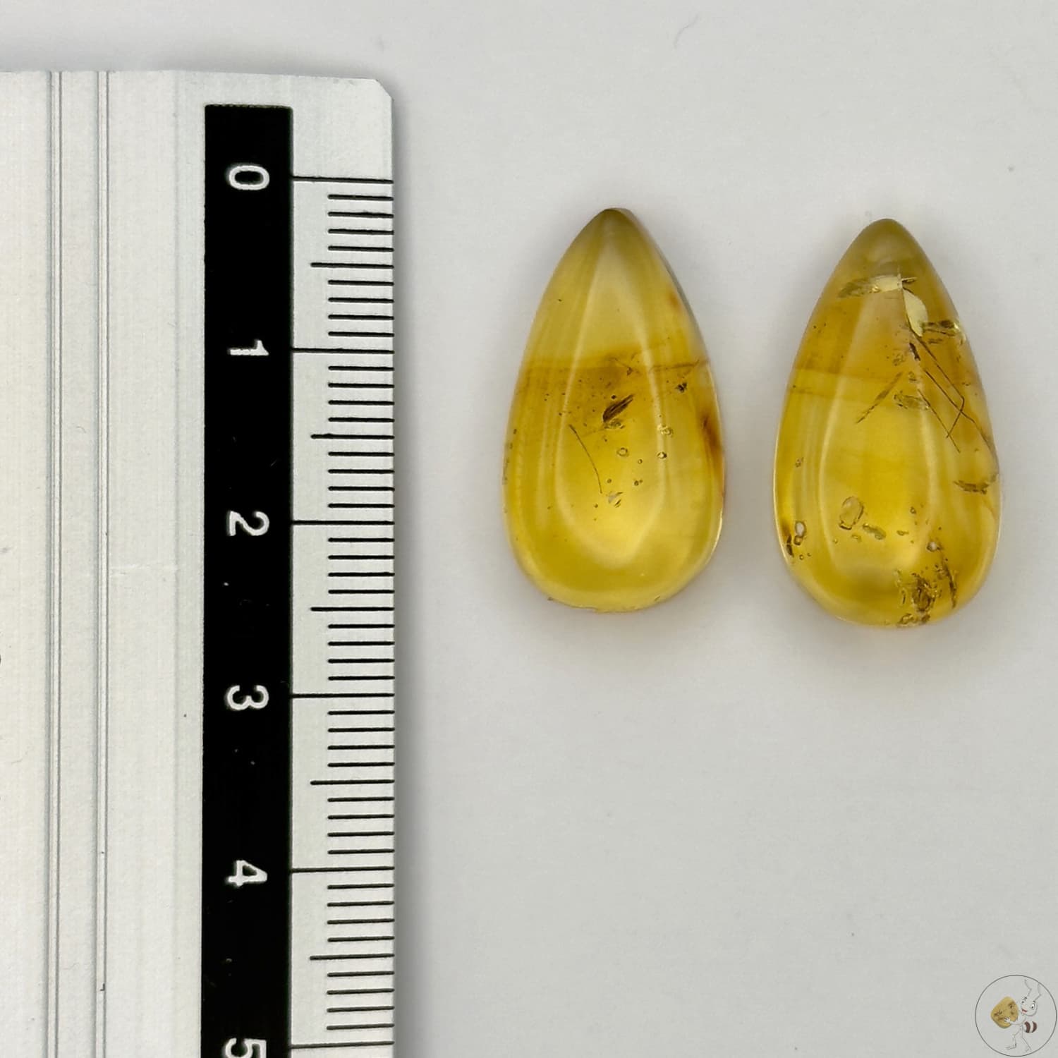 Paire de cabochons en ambre naturel du Mexique – forme goutte | Formiga Loca