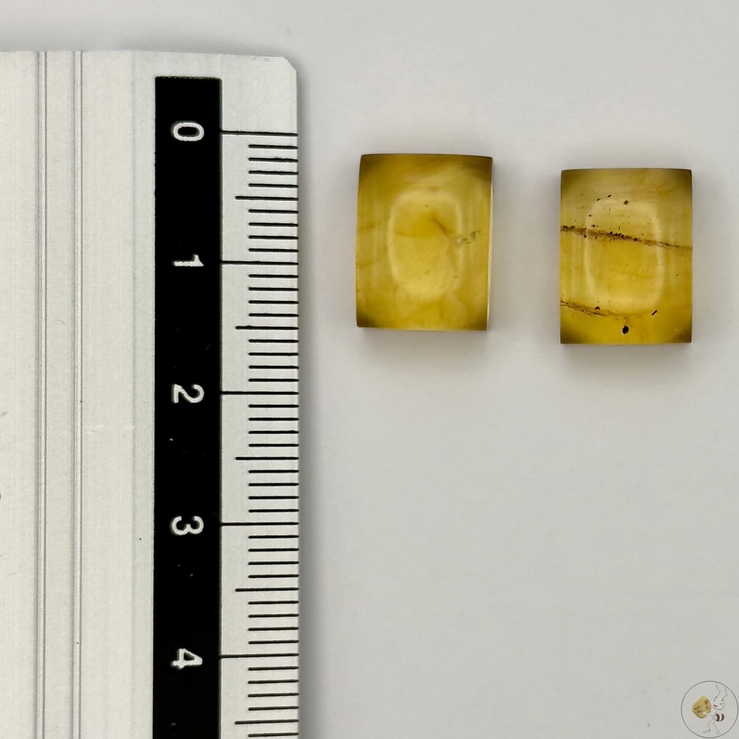 Paire de cabochons en ambre naturel du Mexique – forme rectangle | Formiga Loca