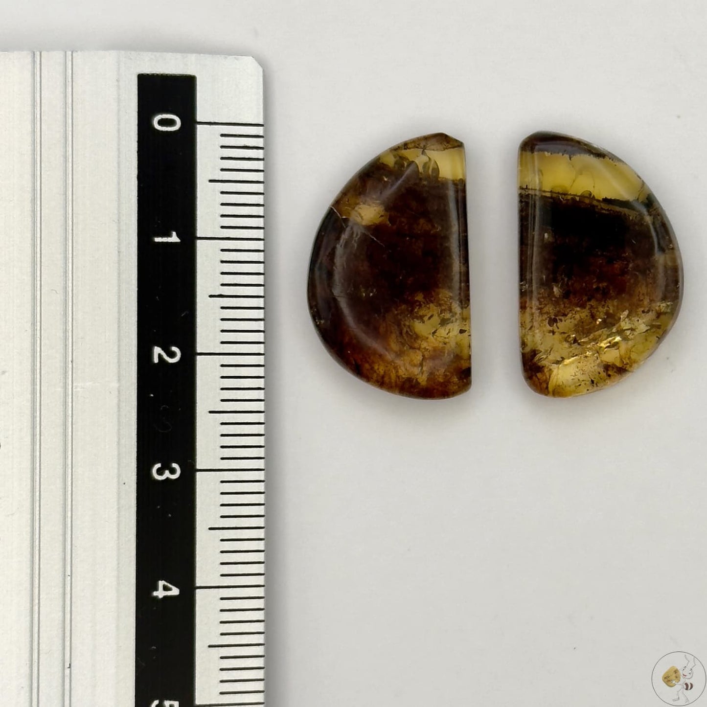 Paire de cabochons en ambre naturel du Mexique – forme libre| Formiga Loca