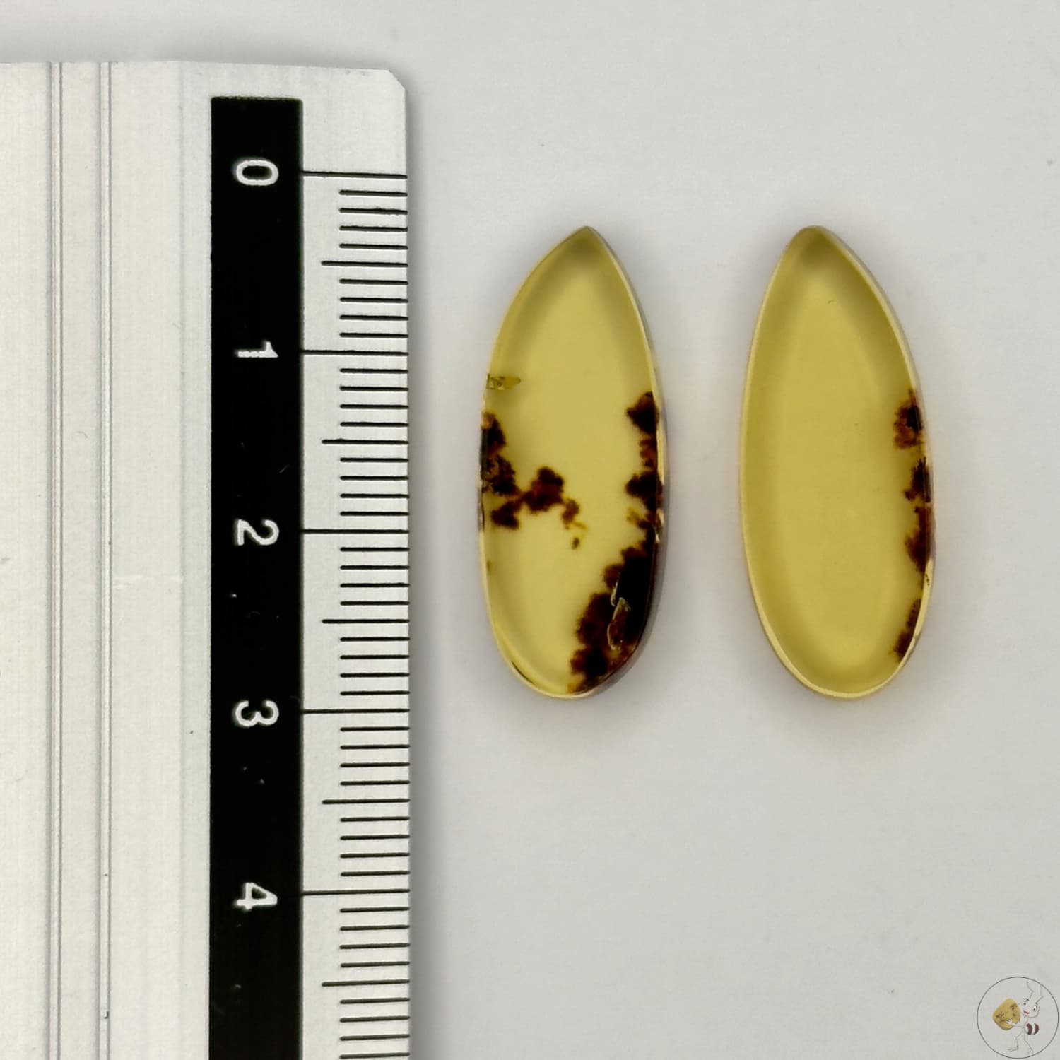Paire de cabochons en ambre naturel du Mexique – forme libre | Formiga Loca