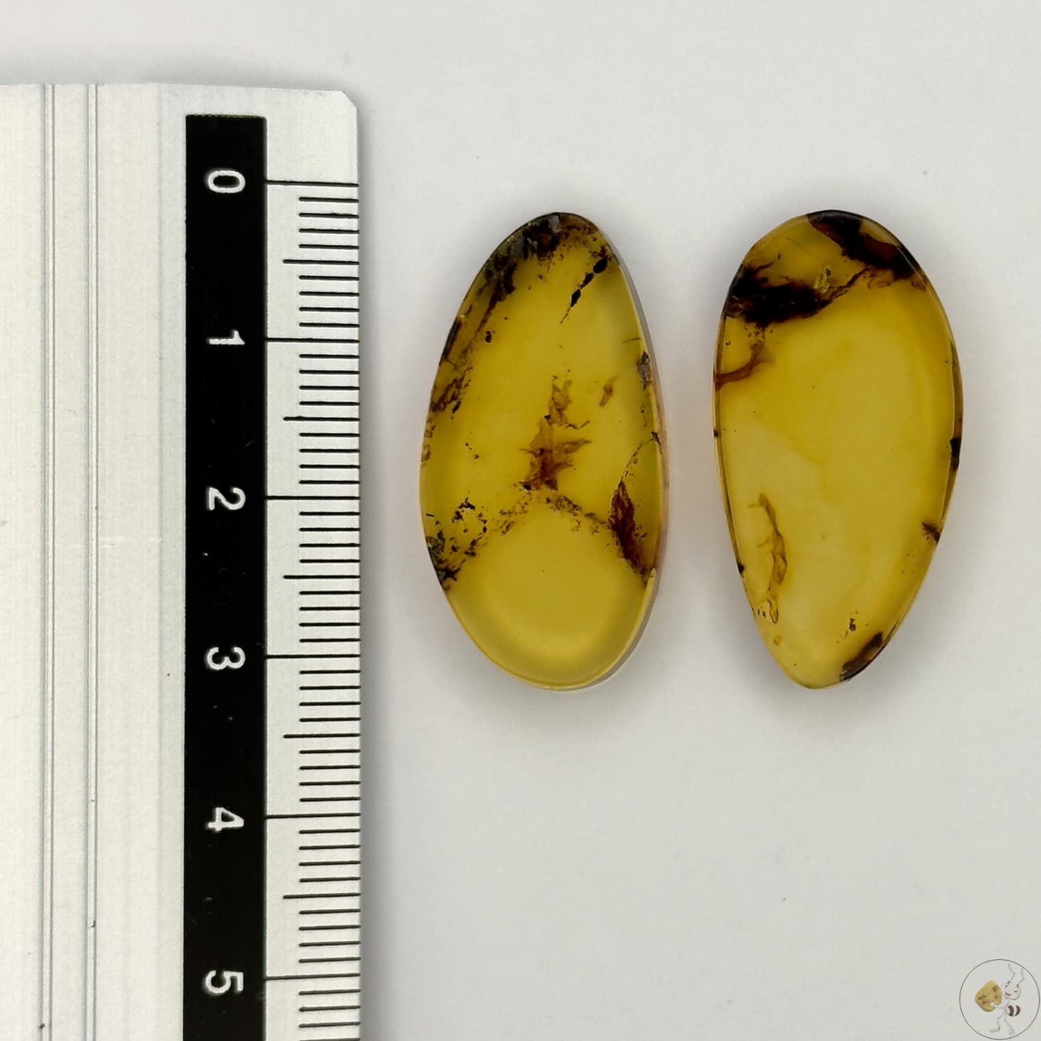 Paire de cabochons en ambre naturel du Mexique – forme libre| Formiga Loca