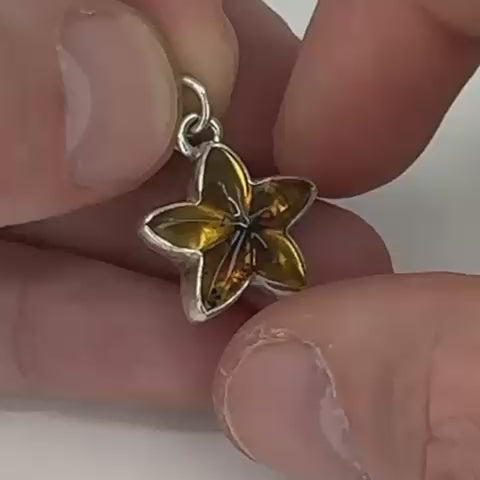 Pendentif étoile en ambre naturel monté sur argent 925/950-05